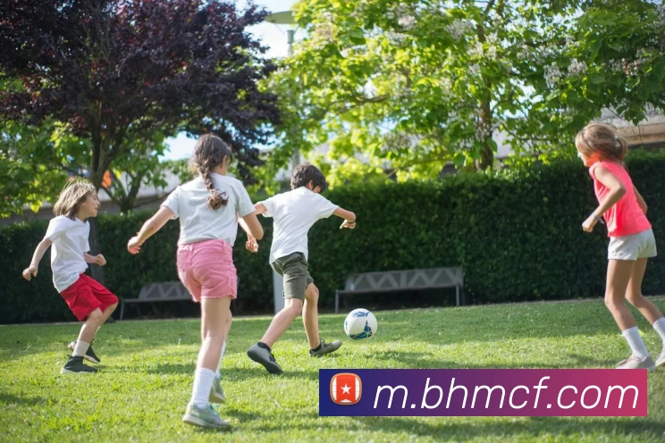 多媒体互动体验